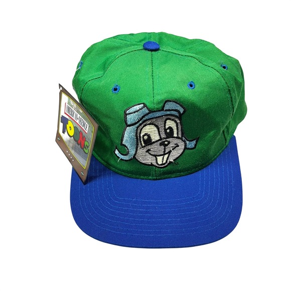 Vintage 1993 American Needle Rocky Bullwinkle Snapback Hat Green Blue Toons NWT